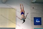 Women's Diving  Wheaton College Women’s Diving vs Mount Holyoke College. - Photo by Keith Nordstrom : Wheaton, Swimming & Diving